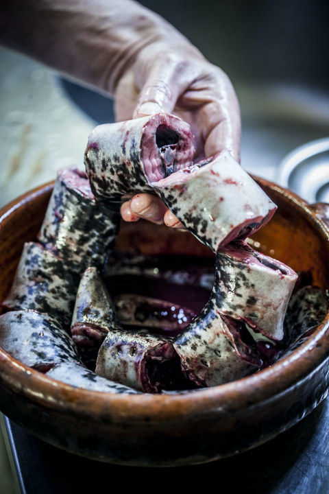 Corte de lamprea para prepararla a la bordelesa con su propia sangre en el restaurante Os Pirús de Arbo