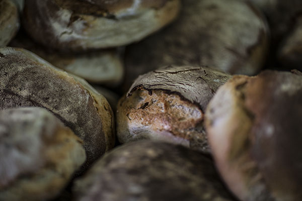 [Img #19236]hogazas de vinhais portuguesas