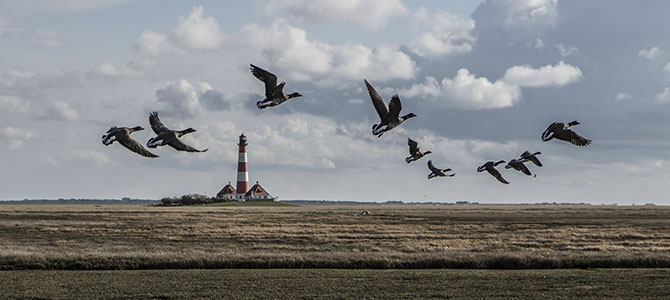 Faro de Nordfriesland