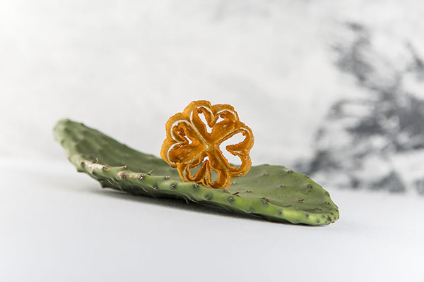 Flor frita, Restaurante Magoga, Cartagena, Murcia.