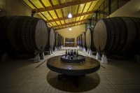 Elaboración de sidra asturiana, en imágenes