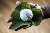 Helados de terroir, procesos de alta cocina glacial