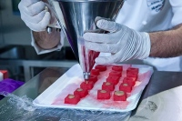 Bocuse D'Or, contra el talento mediterráneo
