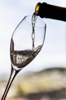 Elaboración del cava en imágenes, Freixenet.