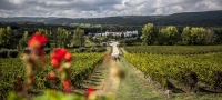 Alentejo, vino historia y paisaje en armonía