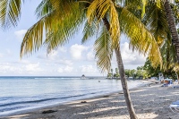 Ron de Jamaica, alma ancestral